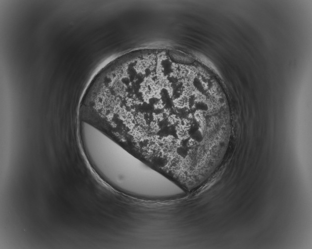 X0000083071087200703022151