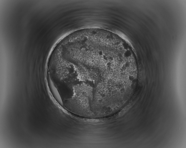 X0000083071088200703022151