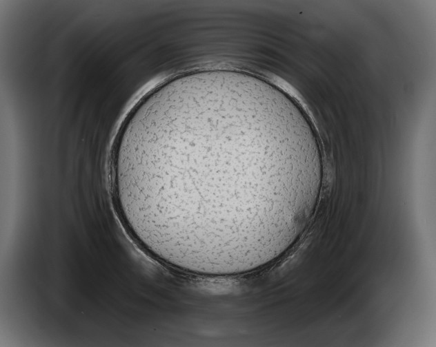X0000083071090200703022151