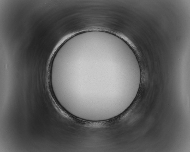 X0000083071094200703022151