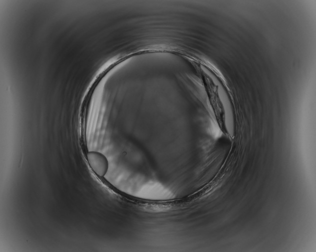 X0000083071095200703022151