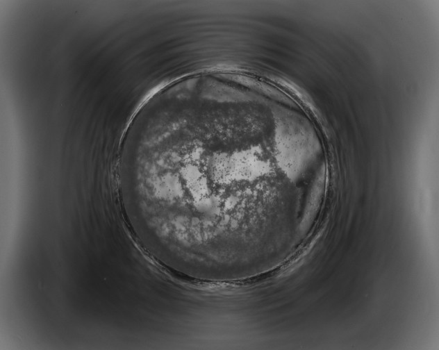 X0000083071097200703022151