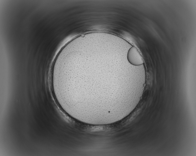 X0000083071098200703022151
