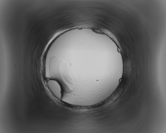 X0000083071099200703022151