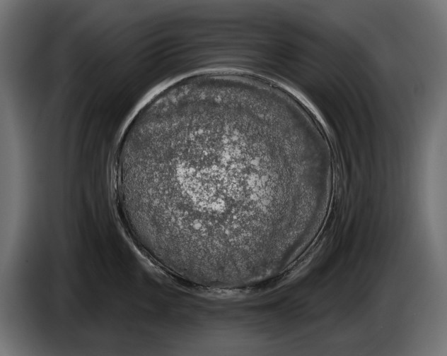 X0000083071101200703022151