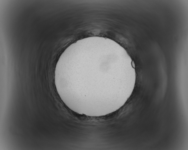 X0000083071105200703022150