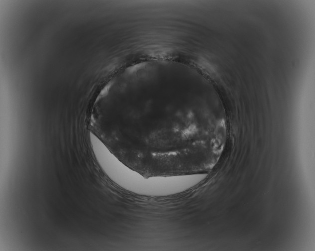 X0000083071106200703022150