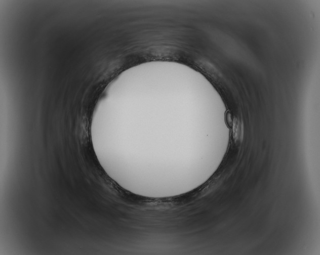 X0000083071107200703022150