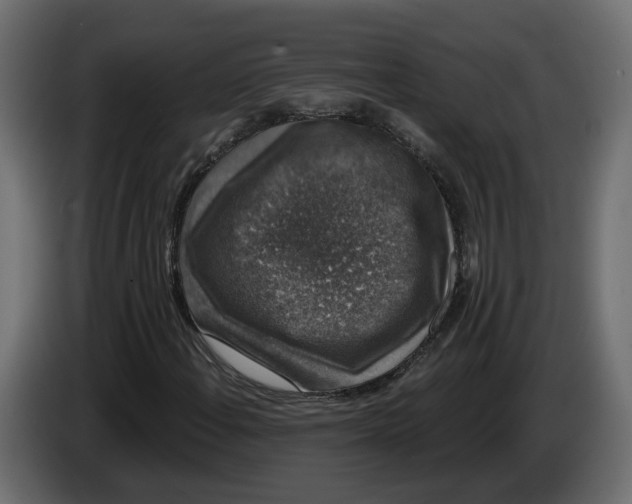 X0000083071108200703022150