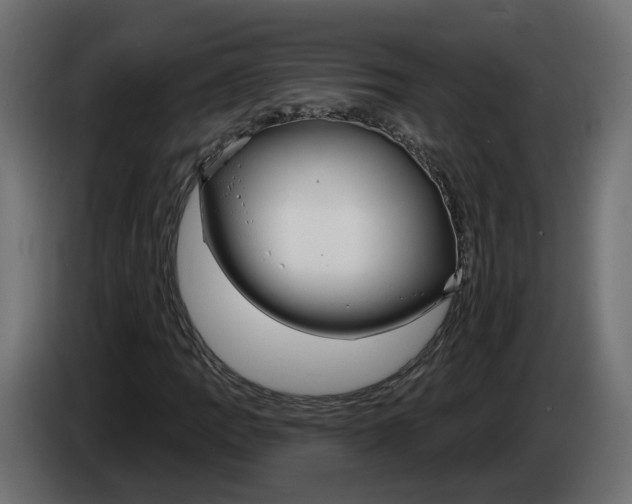 X0000083071109200703022150