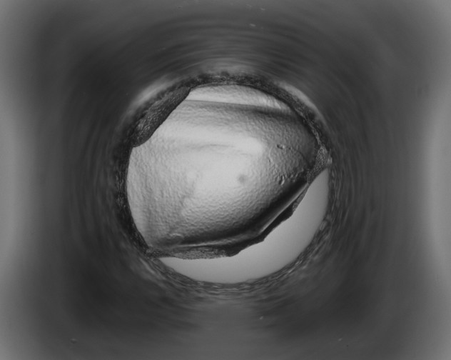 X0000083071112200703022150
