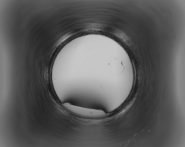 X0000083071113200703022150
