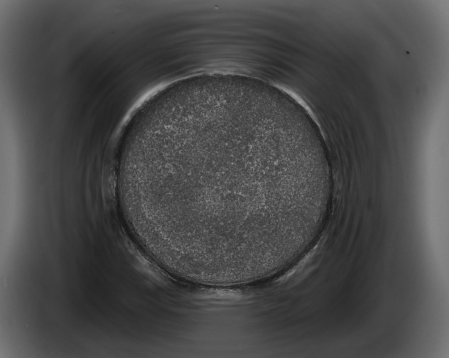 X0000083071115200703022150