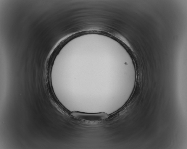 X0000083071116200703022150