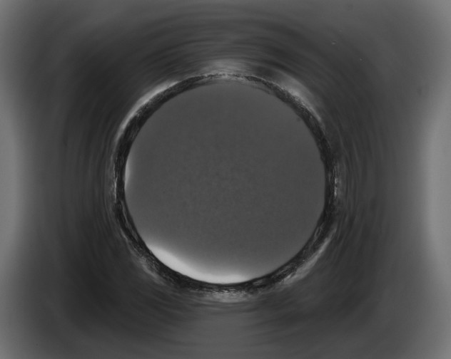 X0000083071117200703022150