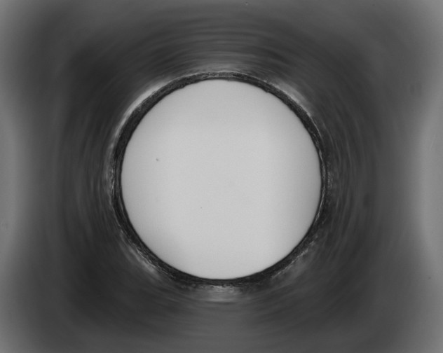 X0000083071119200703022150