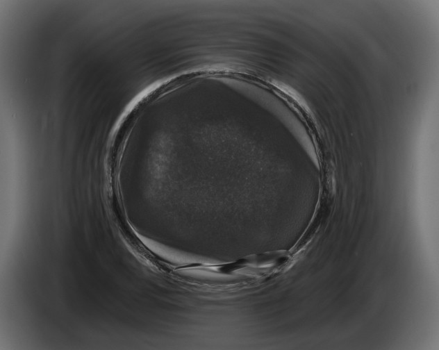 X0000083071120200703022150