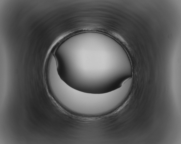 X0000083071122200703022150