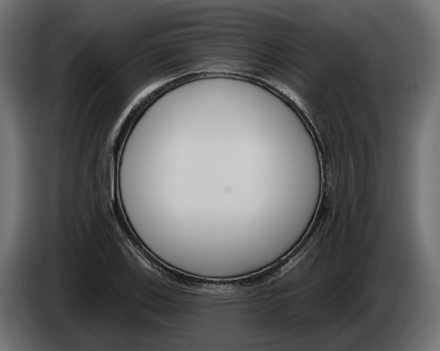 X0000083071123200703022150