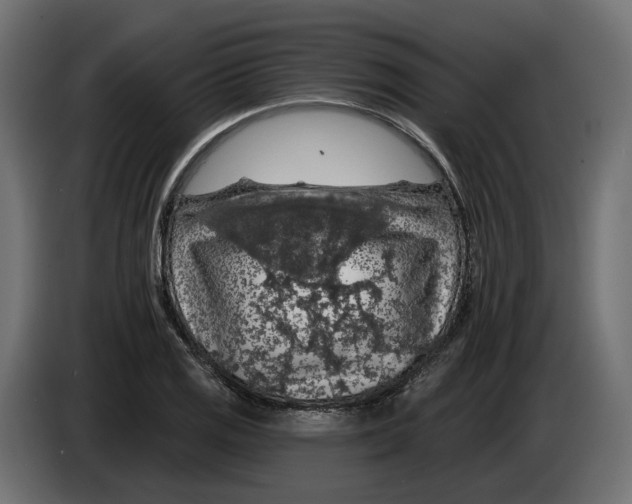 X0000083071125200703022150