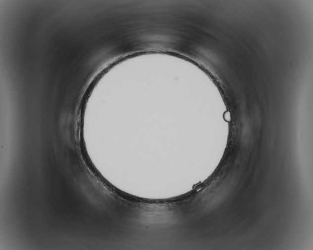 X0000083071126200703022150