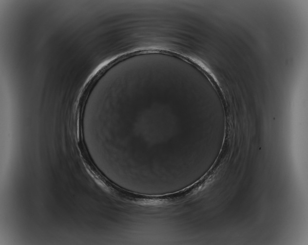 X0000083071127200703022150