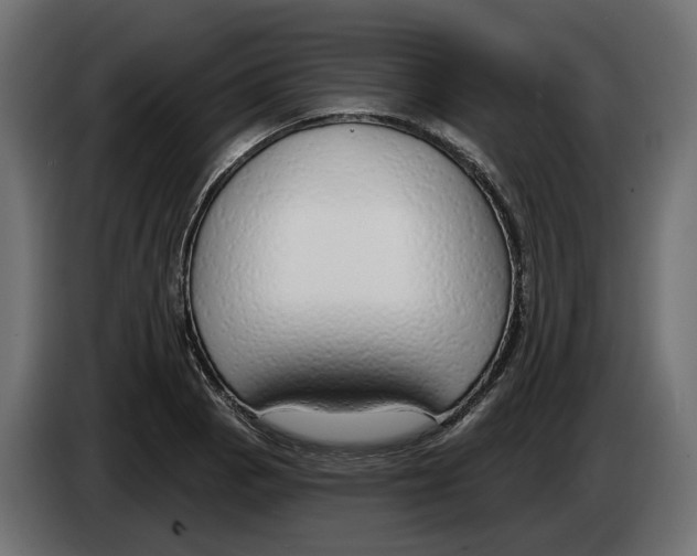 X0000083071129200703022150