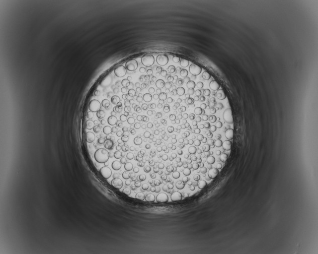 X0000083071130200703022150