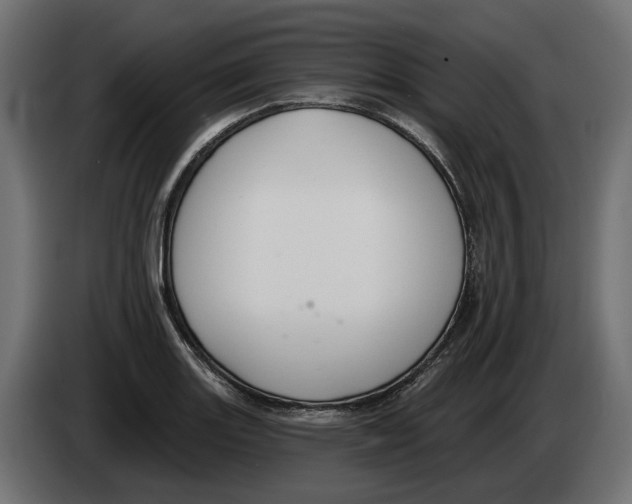 X0000083071131200703022150