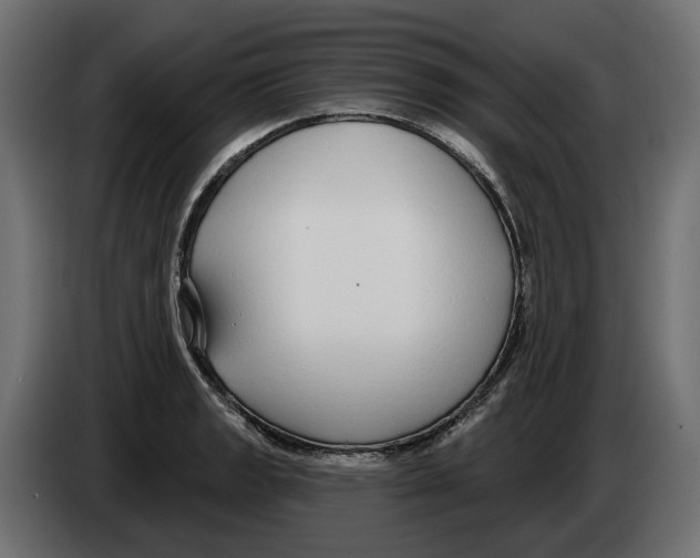 X0000083071133200703022151