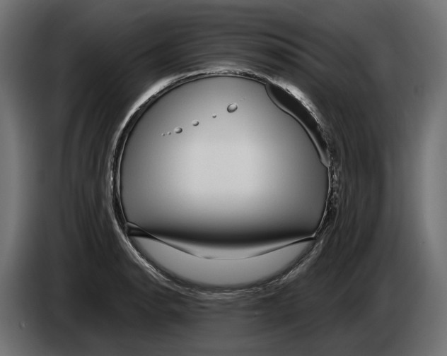 X0000083071134200703022151