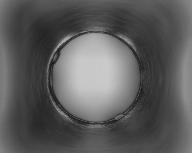 X0000083071135200703022151