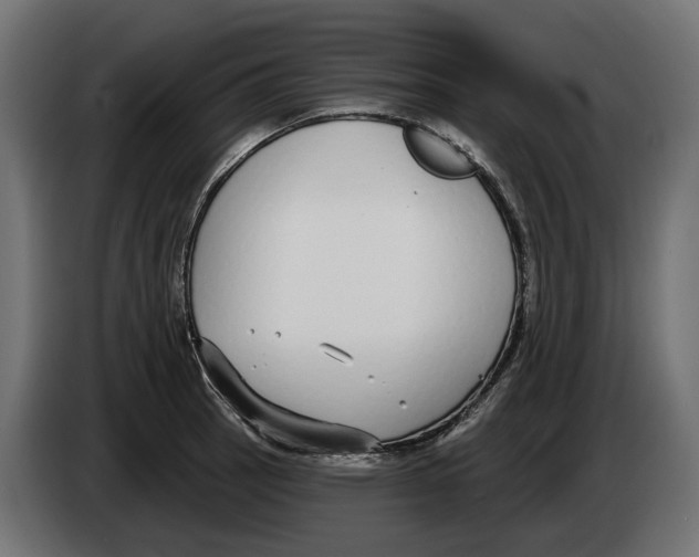 X0000083071137200703022151