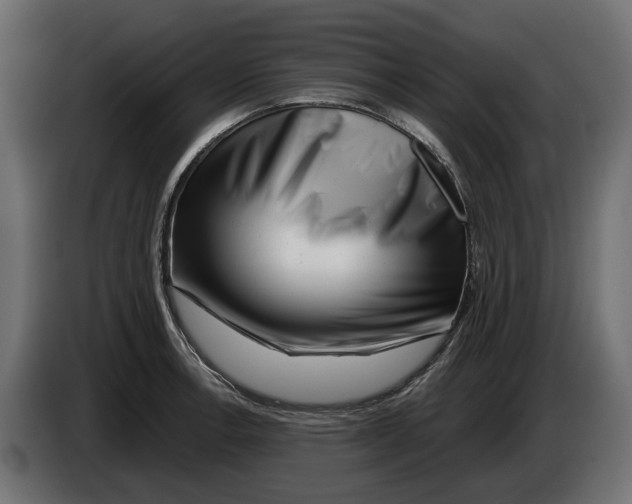 X0000083071138200703022151