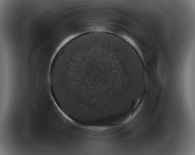 X0000083071141200703022151