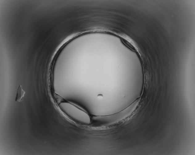 X0000083071142200703022151