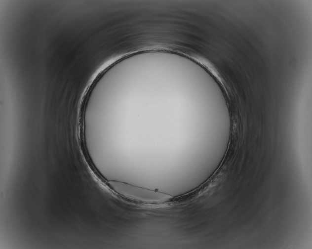 X0000083071143200703022151
