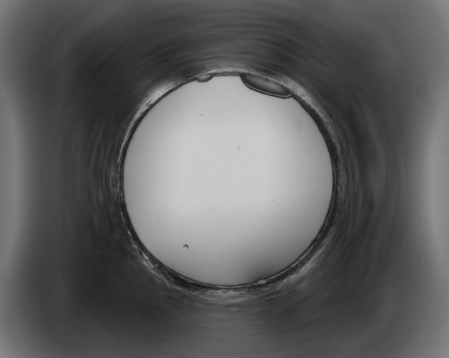 X0000083071145200703022151