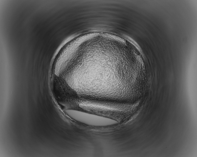 X0000083071146200703022151