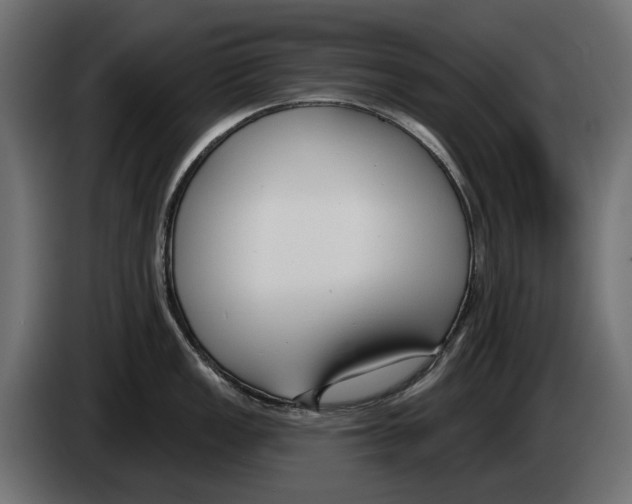 X0000083071149200703022151