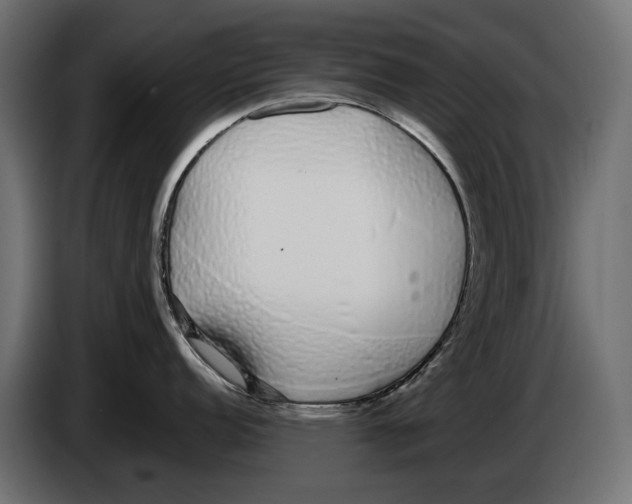 X0000083071152200703022151