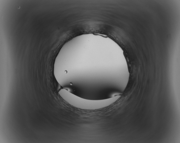 X0000083071153200703022150