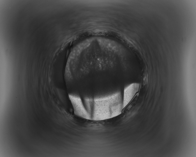 X0000083071156200703022150
