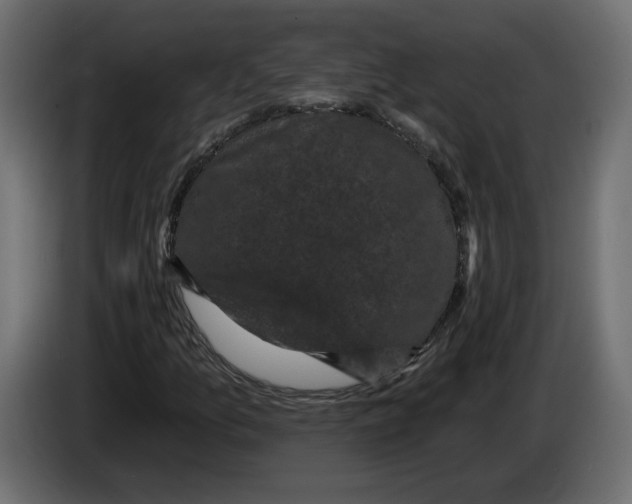 X0000083071157200703022150