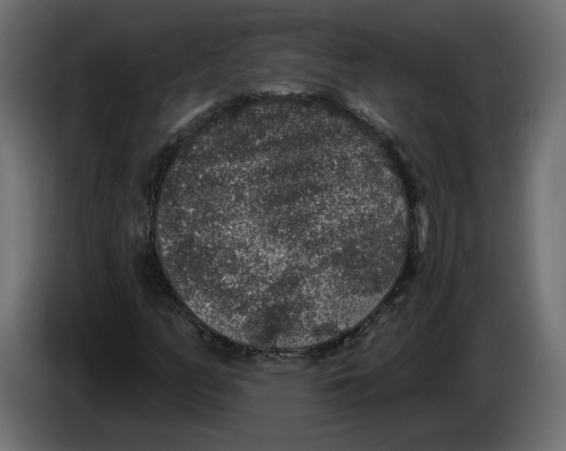 X0000083071158200703022150