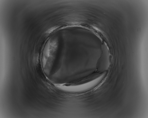 X0000083071161200703022150