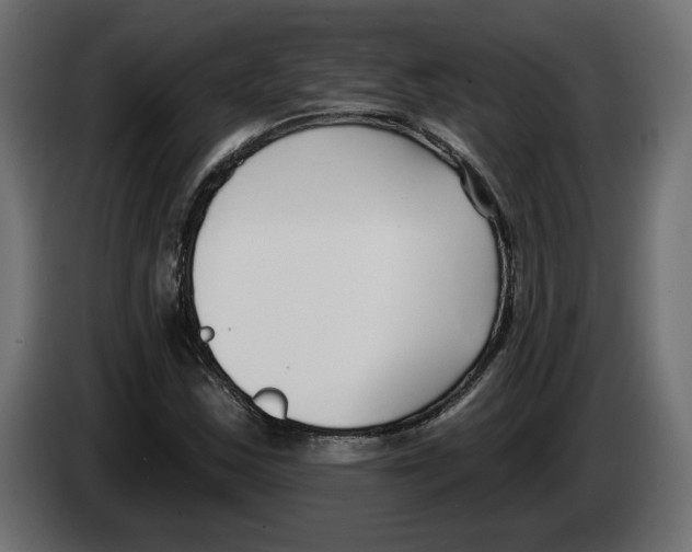 X0000083071163200703022150