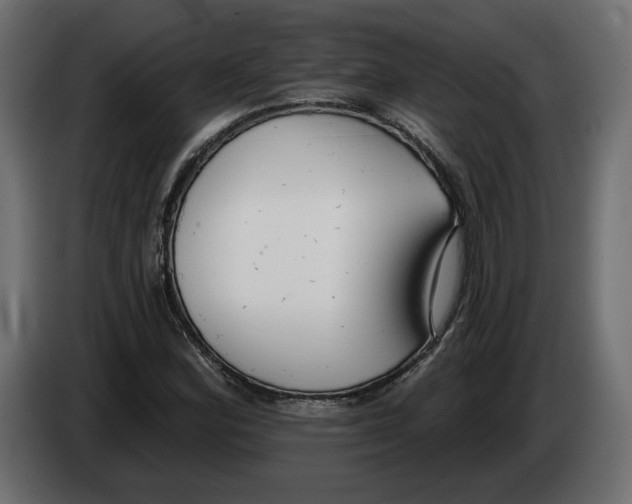 X0000083071164200703022150