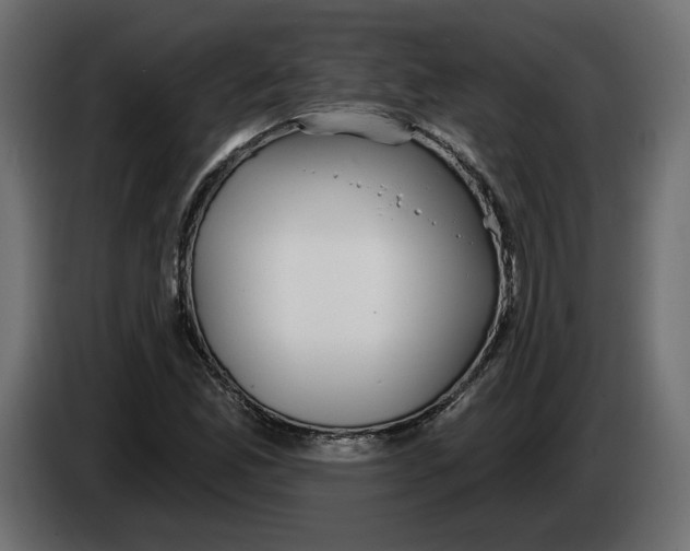 X0000083071165200703022150