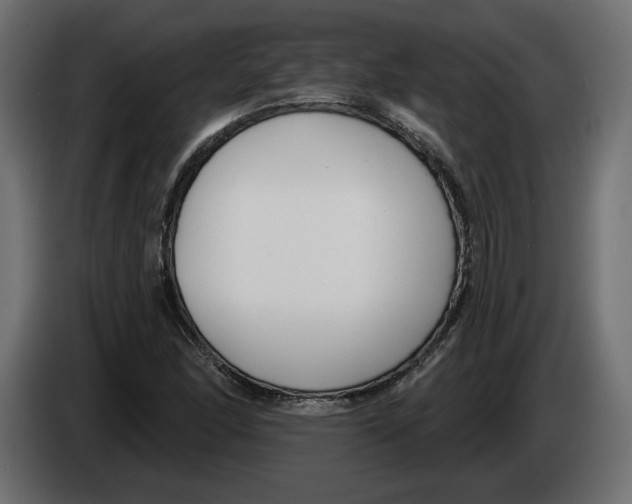 X0000083071166200703022150